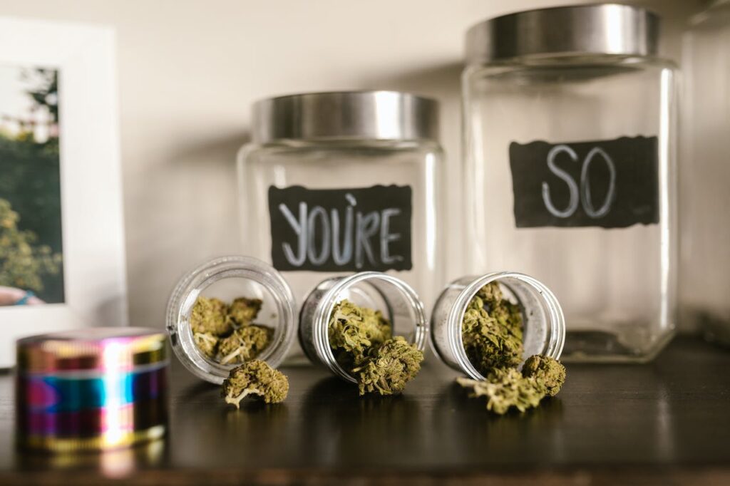 Three jars with different cannabis strains